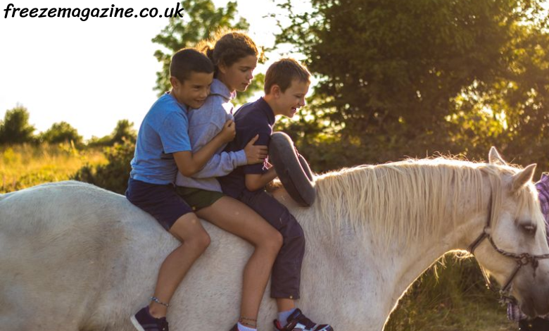 Horse Riding Trips