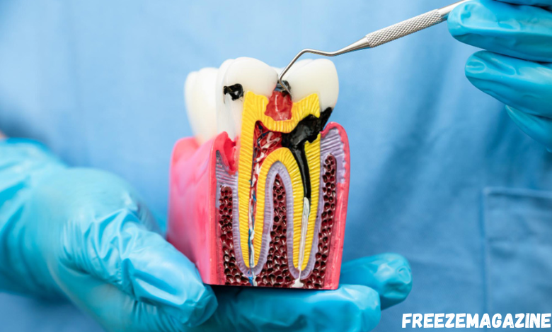 Affordable Care Dental Services