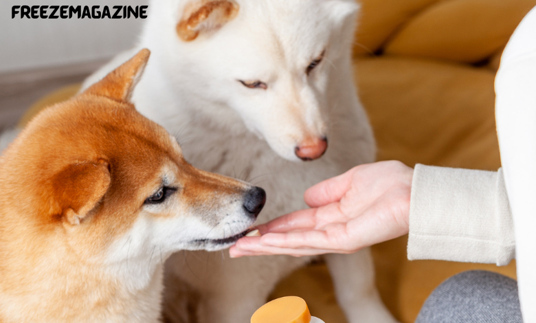 dog probiotic
